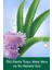 Aroma Sensations Feel The Massage Peeling Etkilli Banyo ve Duş Jeli 500 ml 3
