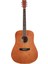 SD104BR Akustik Gitar (Kahverengi) 1