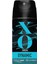 Erkek Deodorant Sprey Dynamic 150 ml 1