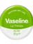 Yumuşatıcı Dudak Kremi Aloe 20 gr 1