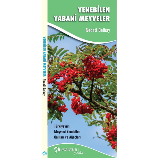 Yenebilen Yabani Meyveler - Necati Balbay