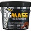Bigjoy Big Mass Gainer GH Factors 5000 gr Çikolata Aromalı Arjinin ve B6 Vitaminli Karbonhidrat Tozu – Türkiye Üretimi Erkek Sporculara Özel 1