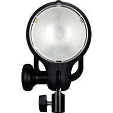 Profoto D1 1000 Aird1 1000 Air Monolight (901025)