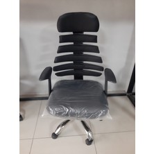 Asel Kaburga Yönetici Koltuğu