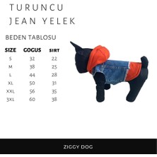 Ziggy Dog Küçük Irk Köpek Için Turuncu Sweatshirt Jean Yelek