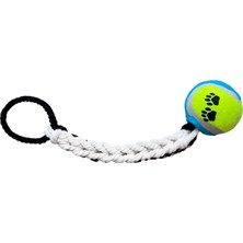 Paw Tenis Toplu Diş Ipi Köpek Oyuncağı 55 cm Paw