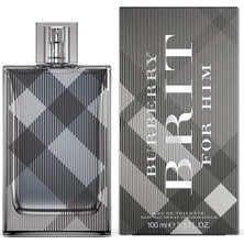 Burberry Brit Edt Erkek Parfüm 100 ml