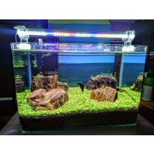 AquaLed 5 Renk Aydınlatma 60 cm