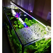 AquaLed 5 Renk Aydınlatma 60 cm