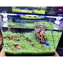 AquaLed 5 Renk Akvaryum Aydınlatma 90 cm
