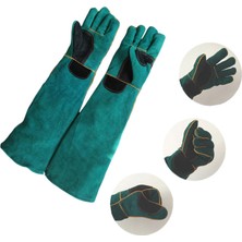 Dolity Hayvan Taşıma Eldiveni 60 cm (Yurt Dışından)