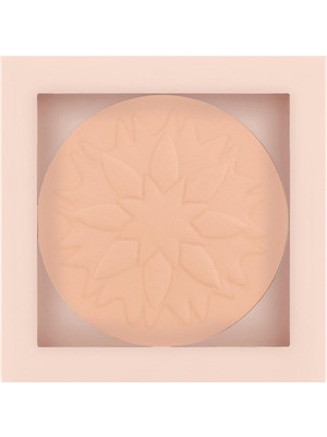 Pastel Show By Pastel Purity Pudra No: 101