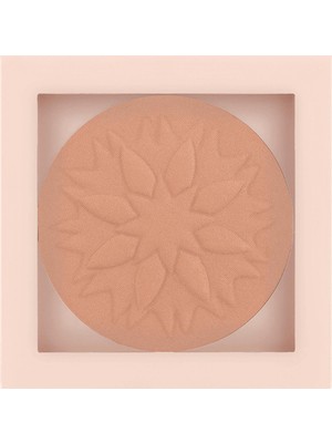 Pastel Show By Pastel Purity Pudra No: 102