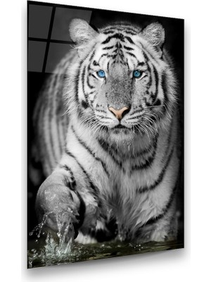 Glass Art Kaplan Dikey Cam Tablo