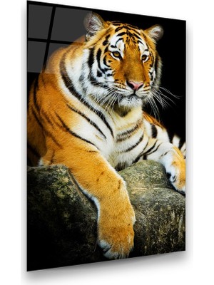 Glass Art Kaplan Dikey Cam Tablo