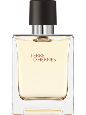Hermes Terre D'hermes Edt Erkek Parfüm 100 ml