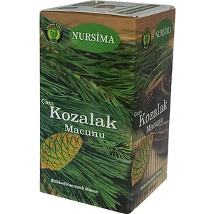 Çam Kozalak Macunu 420 gr