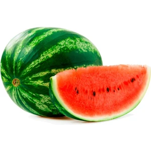Karpuz Tohumu 100 Adet