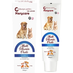 Merycaremulti Vitamin Paste Lezzetli FORMÜL100 ml