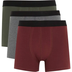 Regular Fit 3'lü Boxer W9670AZ22SP