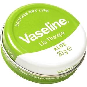 Dudak Nemlendirici Aloe Vera 20G