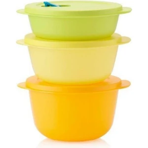 Mikro Kaplar Set 1-1.5-2 Lt Mikrodalga Fırın Için Trc Hsgl