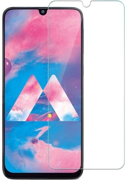 Samsung Galaxy M30S Uyumlu Temperli Cam Ekran Koruyucu
