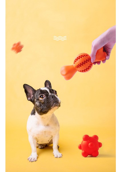 Pet Köpekler Yiyecek Isırmaya Karşı Dayanıklı Besleyici Diş Temizleme Topu - Boyut: S / Turuncu (Yurt Dışından) indirimleri