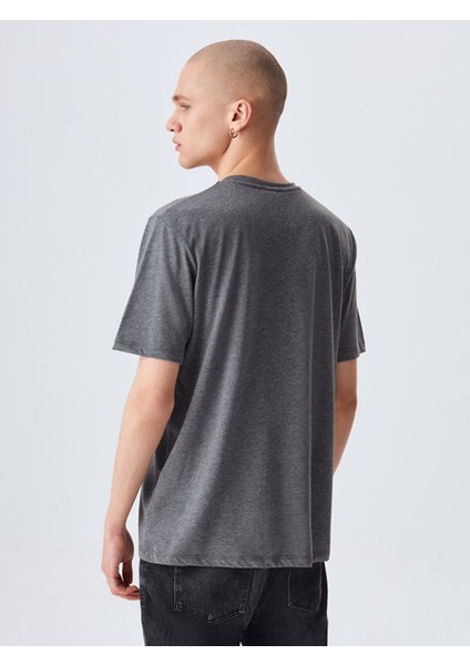Erkek Sıfır Yaka Basıc Kısa Kol Regular Antrasit T-shırt indirimleri