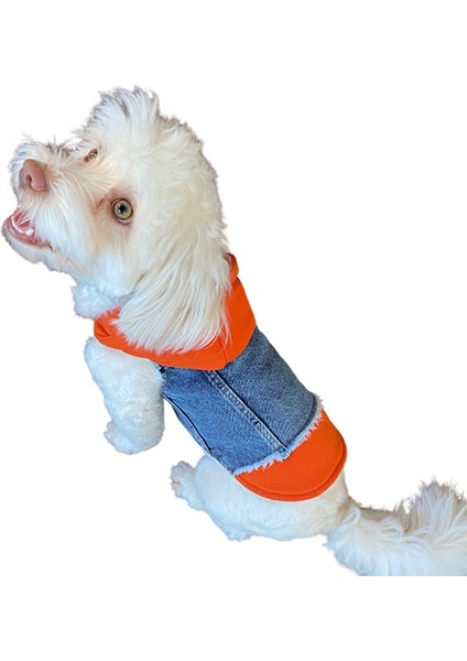 Ziggy Dog Küçük Irk Köpek Için Turuncu Sweatshirt Jean Yelek