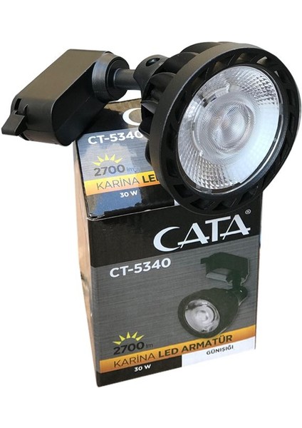 30W Ray Spot Siyah Kasa 3000K Günışığı Işık Karina CT-5315 fiyatları