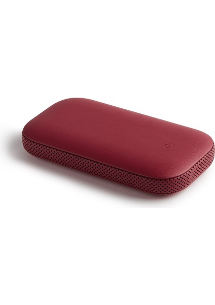 Powersound Deri Kablosuz Şarj Cihazı ve Bluetooth Hoparlör