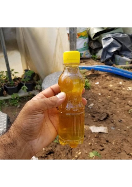 Kaktüs ve Sukulentler Için Özel Gübre 500 ml