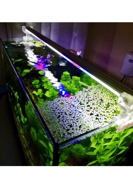 5 Renk Akvaryum Aydınlatma 30 cm modelleri