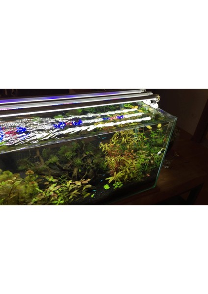 5 Renk Aydınlatma 70 cm fırsatları