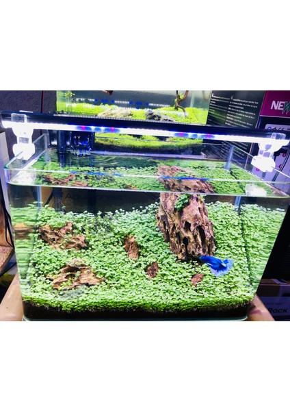 5 Renk Akvaryum Aydınlatma 110 cm fiyatları