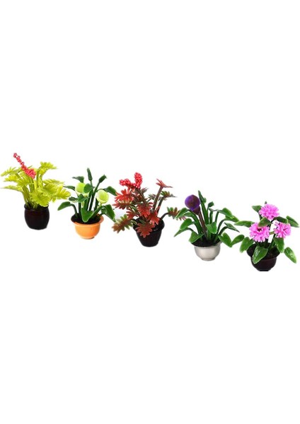 5x Ölçekli Mini Dollhouse Minyatür Saksı Modeli Ev Ofis Dekor 1:20 (Yurt Dışından)