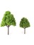 3x 25 Adet Plastik Model Ağaçları Demiryolları Park Sokak Peyzaj Manzarası 1/150 N (Yurt Dışından) 3