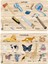 2'li Set Ahşap Eğitici Öğretici Yapboz Hayvanlar-Aletler Eğitici Puzzle 1