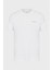 Pamuklu Regular Fit Bisiklet Yaka T Shirt Erkek T Shirt 8NZT91 Z8H4Z 1100 4