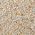 Aslımlar Ak (Beyaz) Darı 1 kg Kuş Yemi İçerik Olarak Besleyici ve Lezzetli