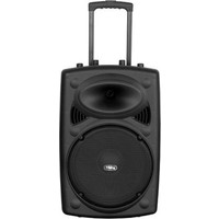 FRISBY FS-4060 Dahili Bataryalı Aktif Ses Sistemi