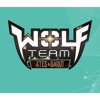 3850 Wolfteam Nakit Satin Al Indirimli 10000 Joypara Gamesatis