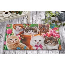 Olunca Olunca Şaşkın Kediler Tasarım Kapı Önü ve Ev İçi Paspas 45x75 cm