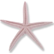 Mutlu Adım 24 Adet Deniz Yıldızı Biblo