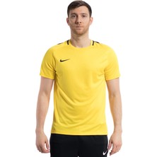Nike Academy 18 Ss Top T-Shirt 893693