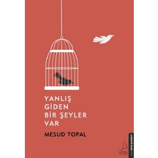 Yanlış Giden Bir Şeyler Var - Mesud Topal