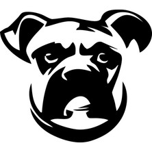 Sticker Master Boxer Sticker Oto Motor Pc Etiket