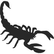 Sticker Master Akrep Sticker Oto Motor Pc Etiket