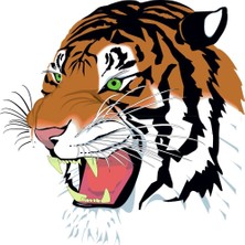 Sticker Master Kaplan Color Sticker Oto Motor Pc Etiket